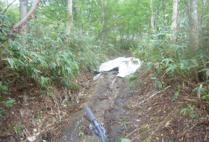 Start of Hanazono trail Traces of snow in late May at the top of Hanazono trail