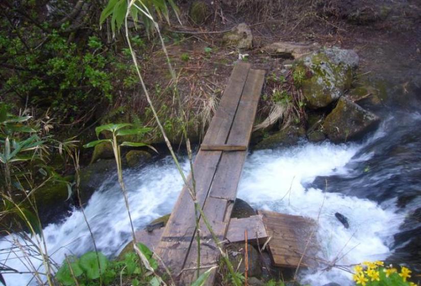 Creek crossing in late May Creek crossing in late May