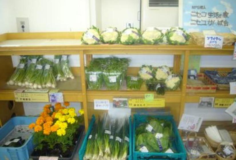 Niseko fresh produce in June Niseko fresh produce in June at View plaza