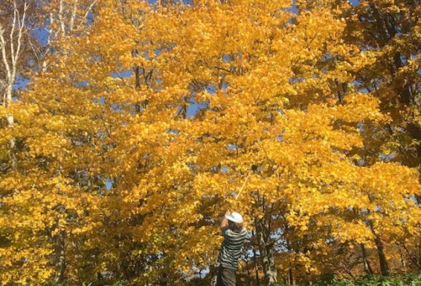 A golfer tees off amidst autumnal trees