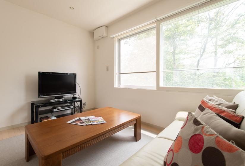 Sakura living room coffee table with the television and natural light coming in from the window