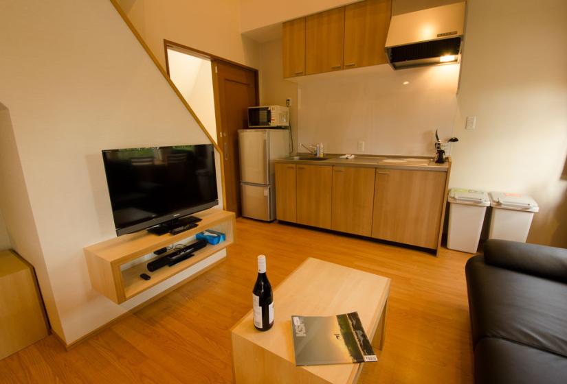 TV, Kitchen and sofa from twin bed area in a Snowbird studio