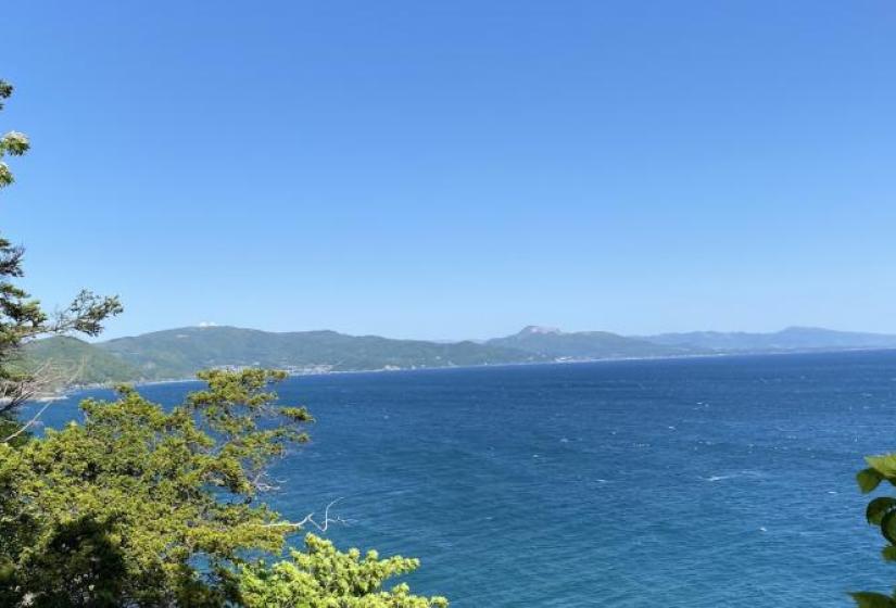 The blue waters of the Pacific Ocean framed by foliage