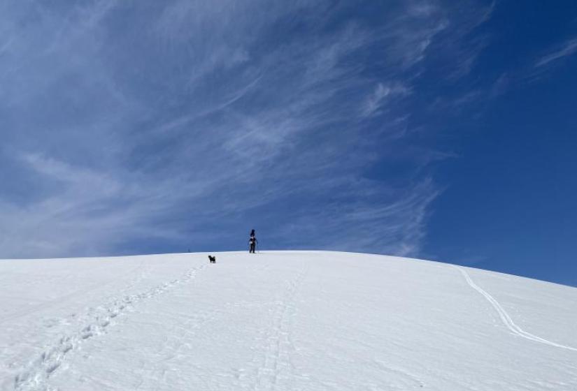 A dog and man hiking up a snowy slope