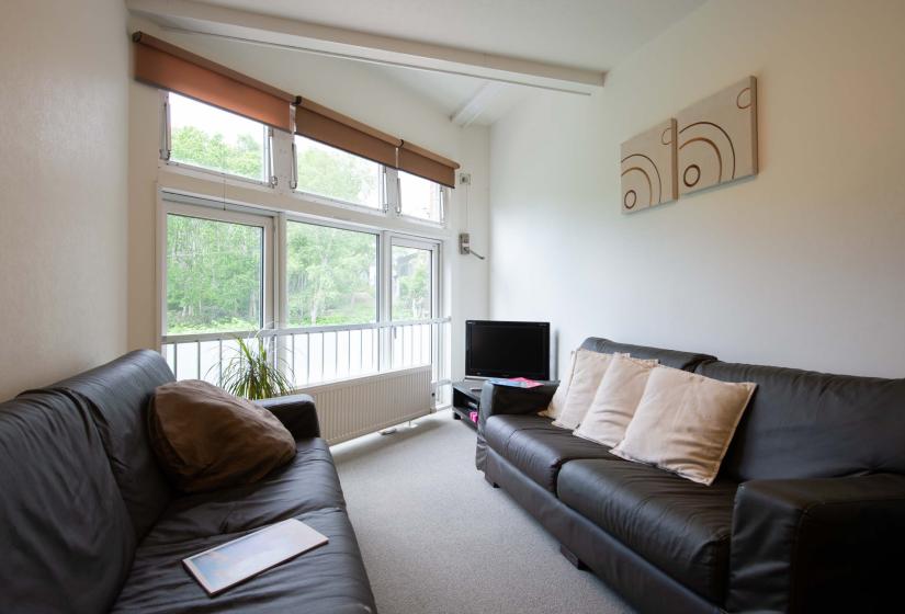 2 sofas facing each other in living room