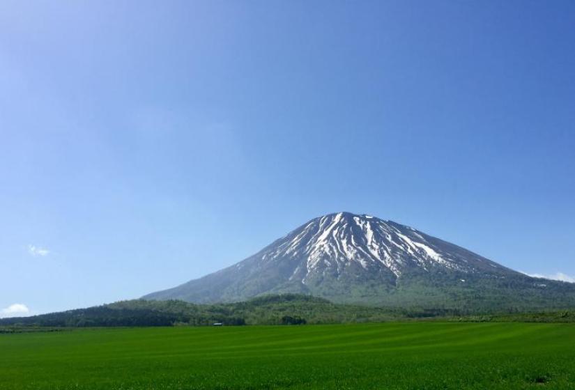 Mt Yotei in spring with green paddock foreground 
