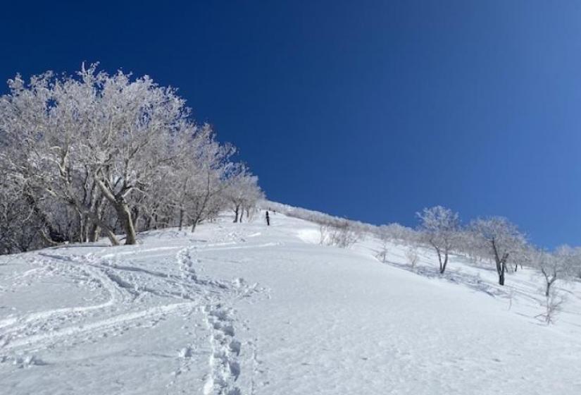 Steps up a snowy slope with trees on the left