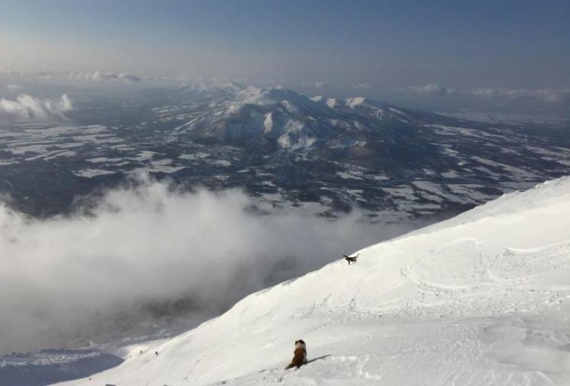 The view from the top View of Mt Annupuri from Mt Yotei