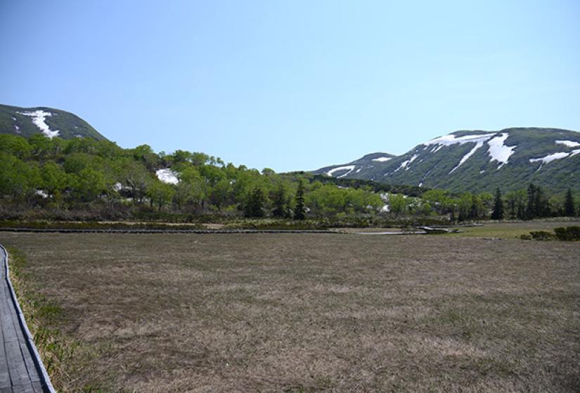 An open dry marsh with snowy hills in the back ground.