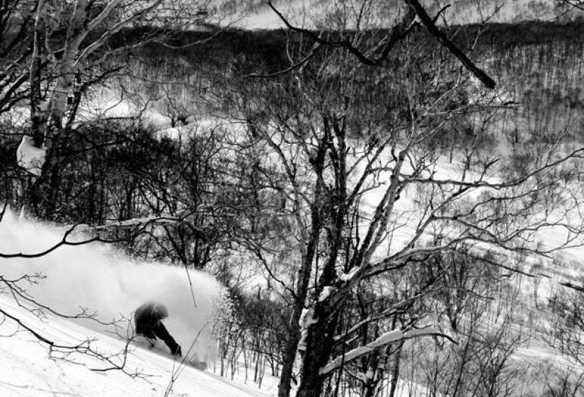 The snow dreams are made of. A snowboarder making a turn in the trees.