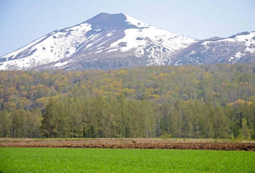 Changing seasons Green fields with Annupuri in the background