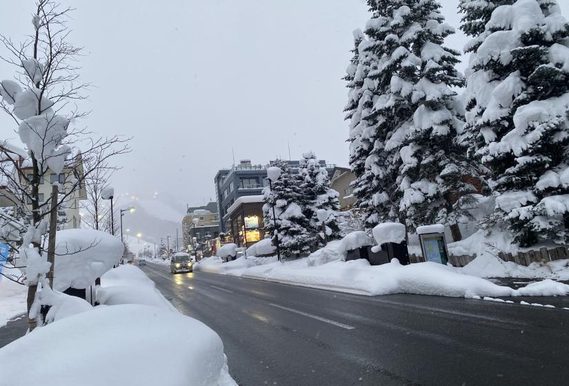 Deep snow covers trees and lines the side of an uphill road