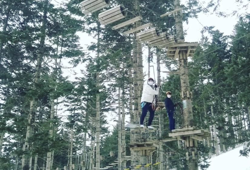 Are you and the kids ready for this adventure!? 2 women climb on a trees rope course in Hirafu.