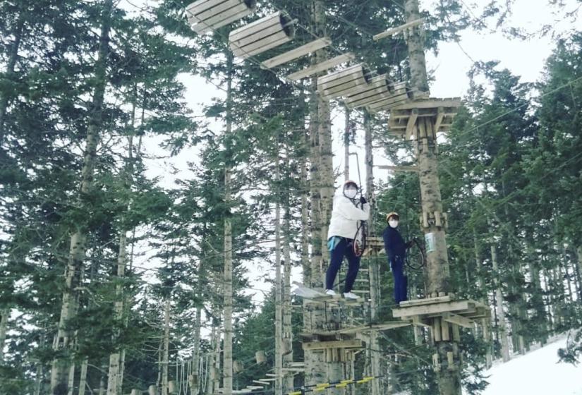 2 women climb on a trees rope course in Hirafu.