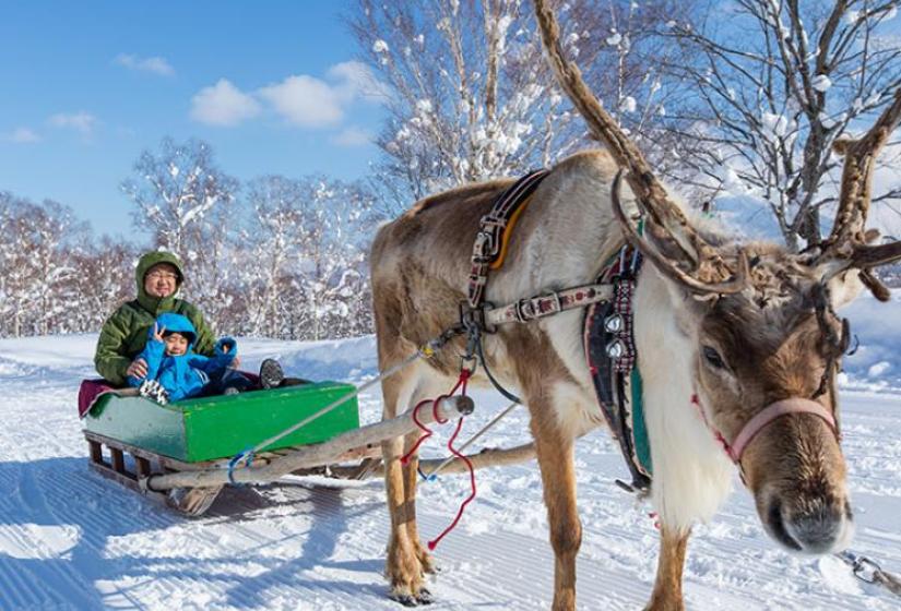 A reindeer pulls a man and child in a sleigh.