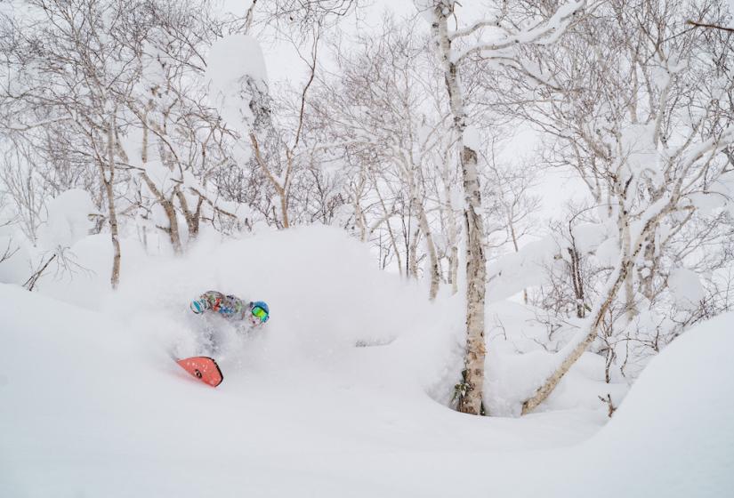 A snowboarder with an orange snowboard makes a deep turn in the powder