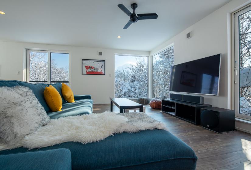 A blue couch with TV to the right and windows behind