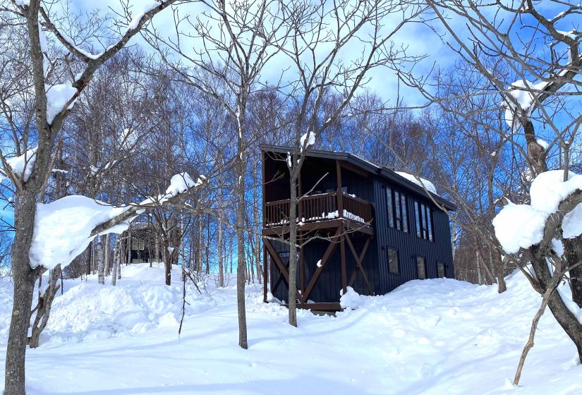 A two story house surrounded by snow