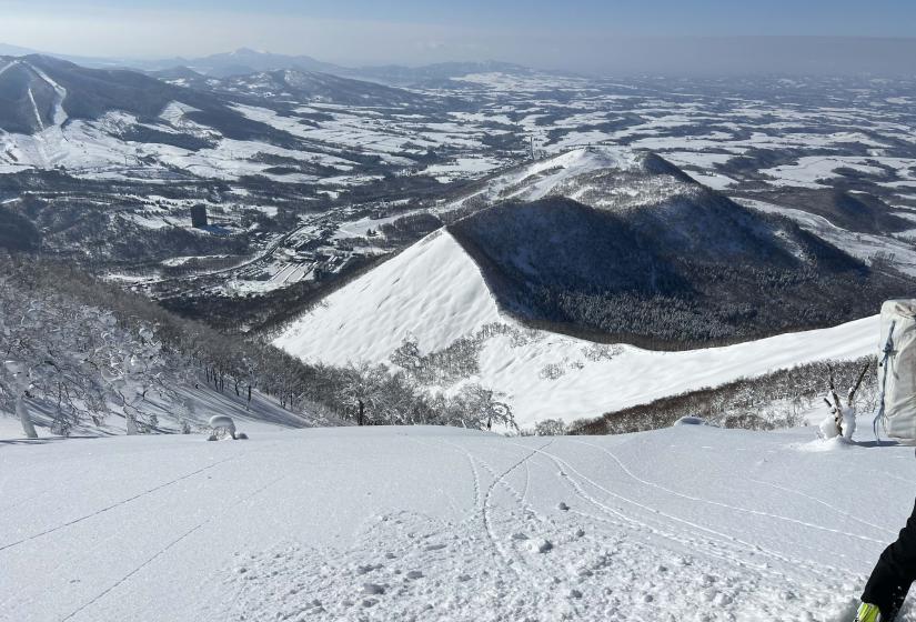 An open filed of powder snow with a patchwork landscape of snow and trees below.