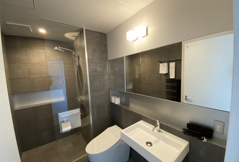 A black tile bathroom with large mirror
