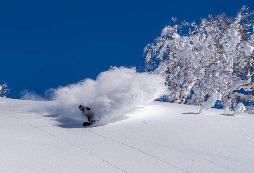 Turns like these are the same no matter where you stay. A snowboarder makes a turn in powder snow