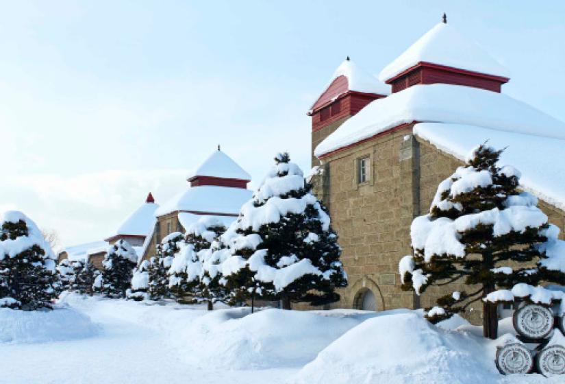 Historic brick buildings smothered in snow