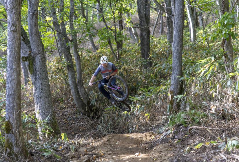 A mountain biker doing a jump in the forest