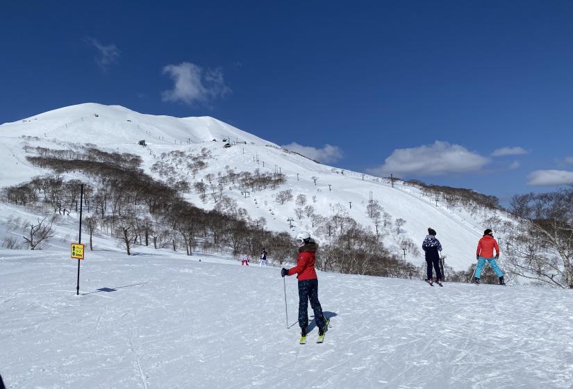 March brings more blue bird days and a powder top up is not unusual. 3 skiers on a flat area with mountain above