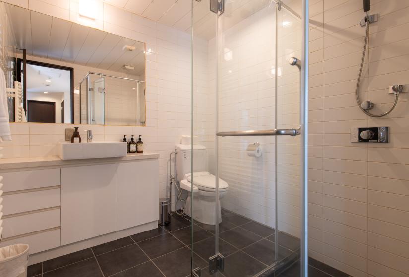 A shower toilet and basin