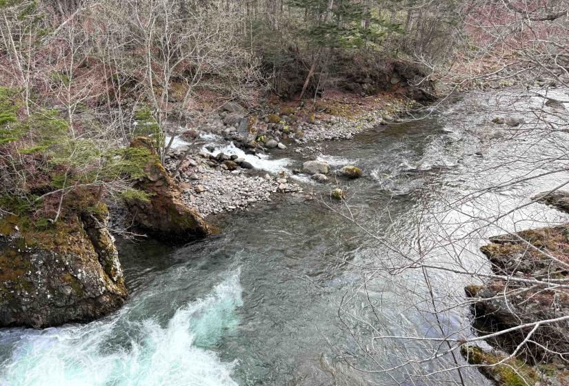 The crystal clear waters of the Sangaitaki River. A clear river surrounded by sparse foliage