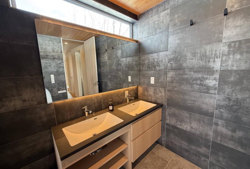 Two bathroom sinks