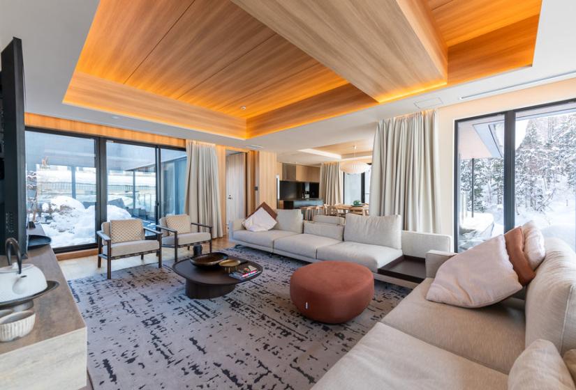 Luxurious looking couches
